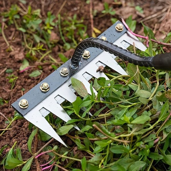 A Heavy-Duty Horticultural Weeding Rake, Metal Weeding Hand Rake, Used for Gardening And Soil Aeration, for Turning Soil And Cleaning Weeds, Excluding Handle - Image 8